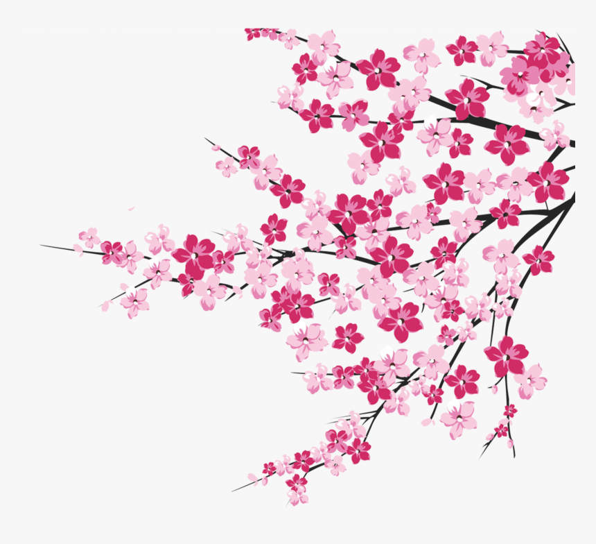 Cherry Blossom Tree Branch - Cherry Blossom Tree Clipart Png, Transparent Png, Free Download