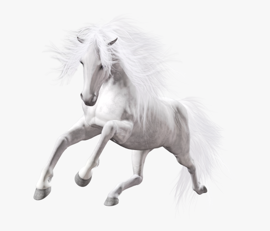 Running White Horse Png, Transparent Png, Free Download