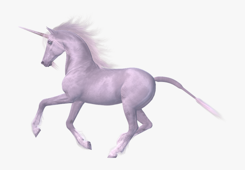 White Horse, Magic Horse, Unicorn, Fairy - Unicorn With White Background, HD Png Download, Free Download