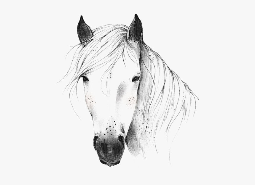 Horse Png, Transparent Png, Free Download