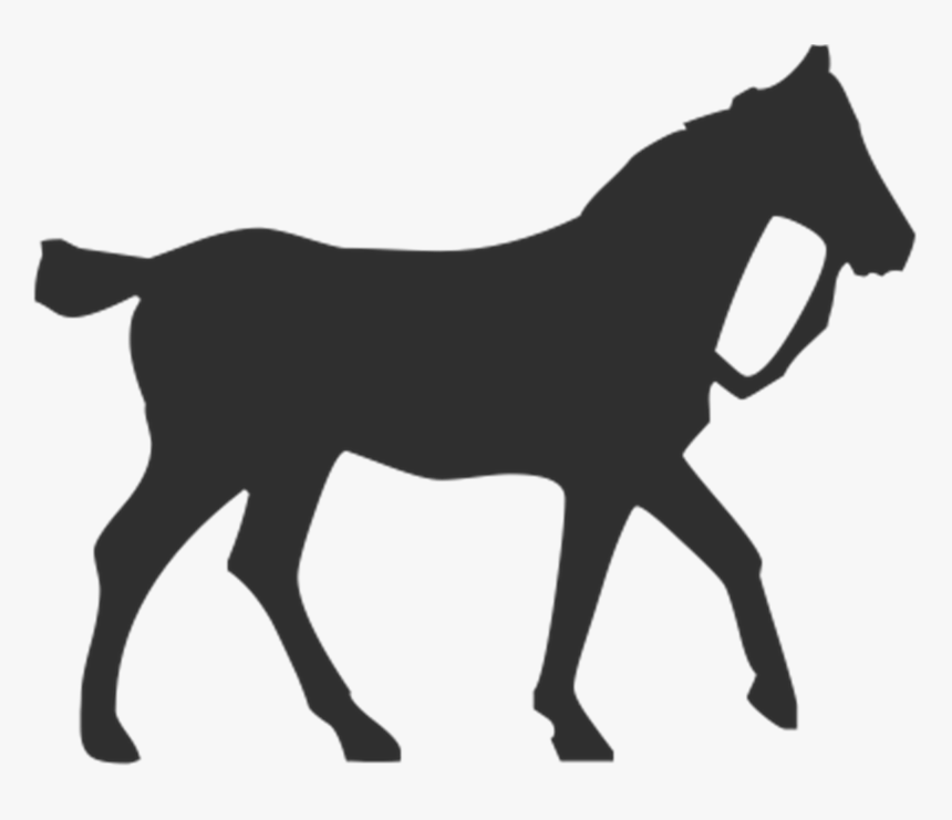 Horse Silhouette Equestrian Pet - Horse, HD Png Download, Free Download