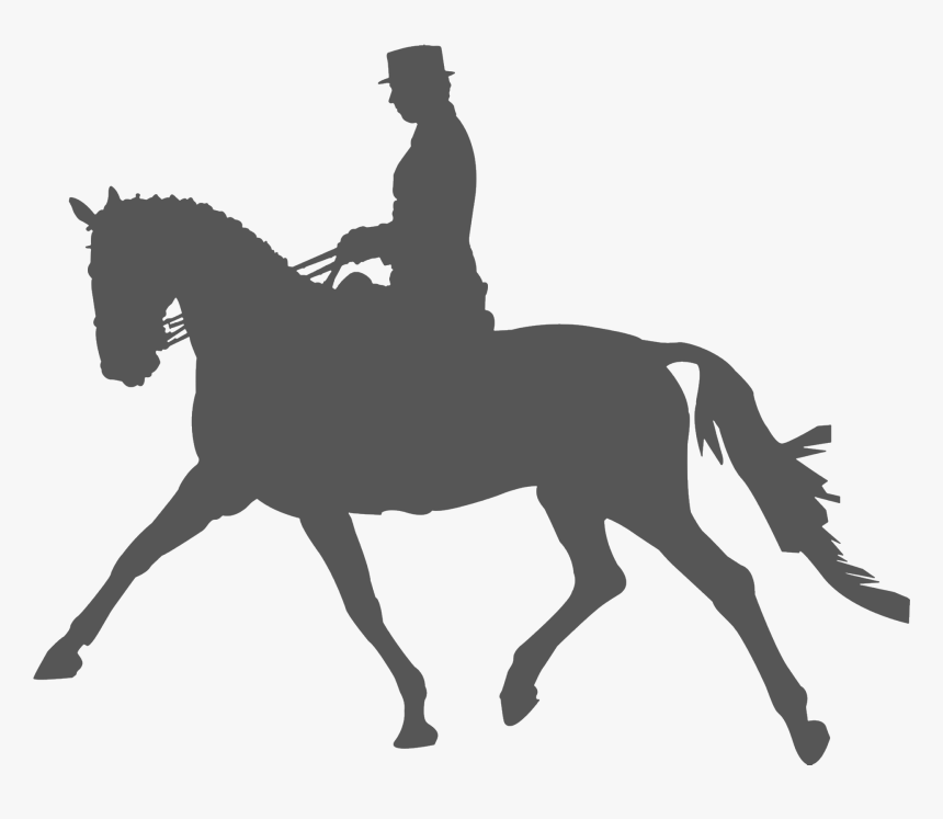 Horse Clip Equestrian - Dressage Silhouette Png, Transparent Png, Free Download