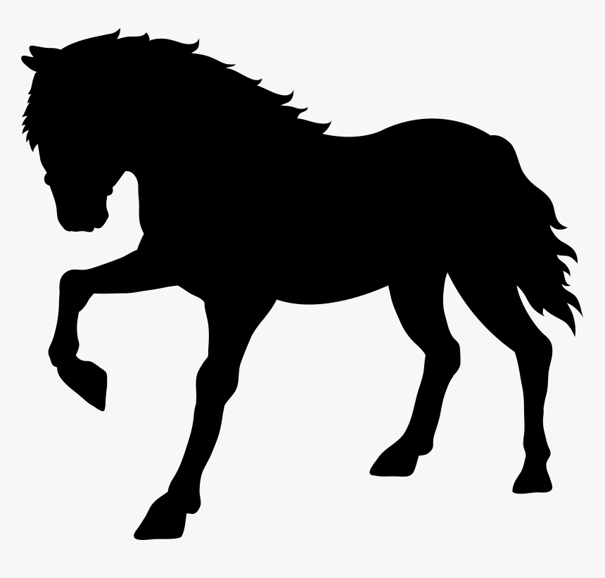 White Horse Png, Transparent Png, Free Download