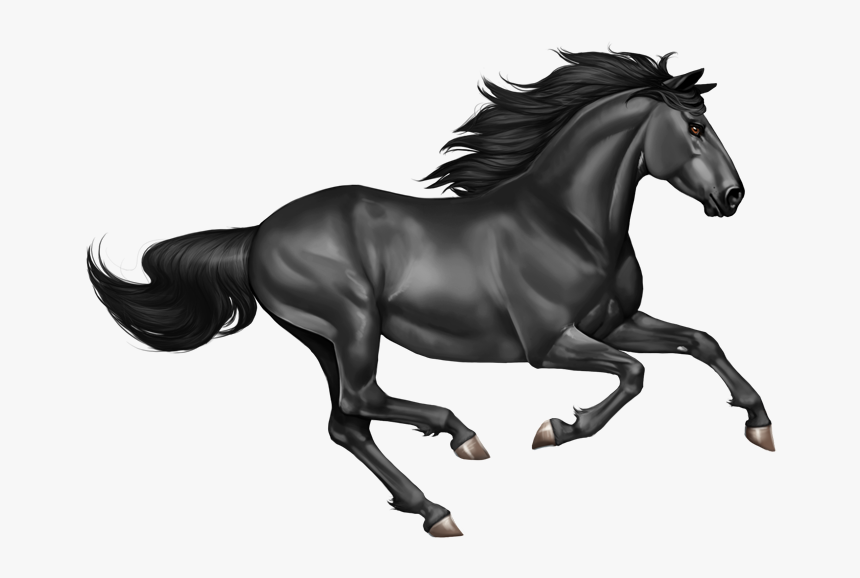 Mare - Horse Mustang Png, Transparent Png, Free Download