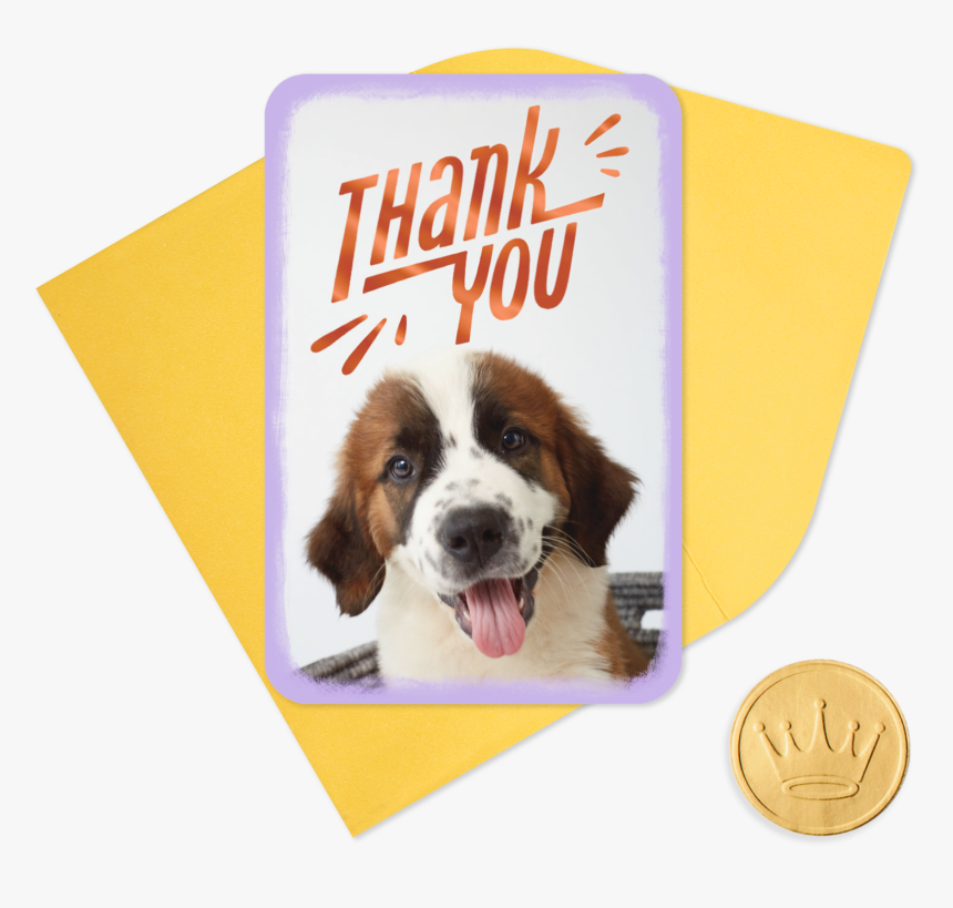 25 - Thank You Puppy, HD Png Download, Free Download