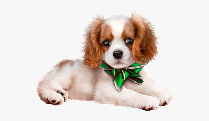 Clipart Cavalier King Charles Spaniel Transparent, HD Png Download, Free Download