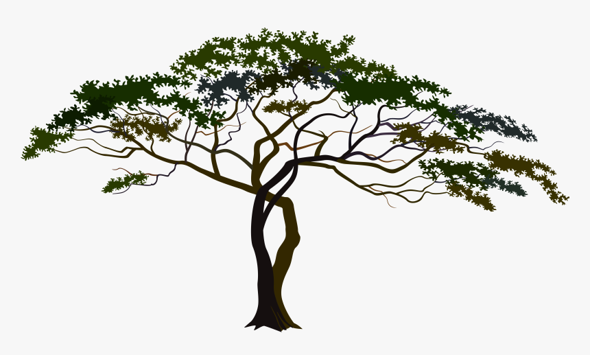African Tree Clipart Png, Transparent Png, Free Download