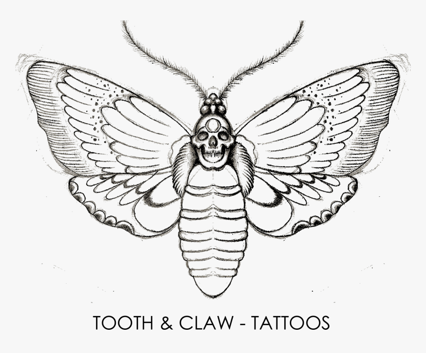 Tooth & Claw Tattoos - Transparent Flower Tattoo, HD Png Download, Free Download