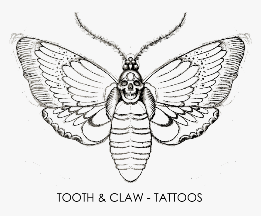 Discover more than 53 tooth and claw tattoo best in.eteachers