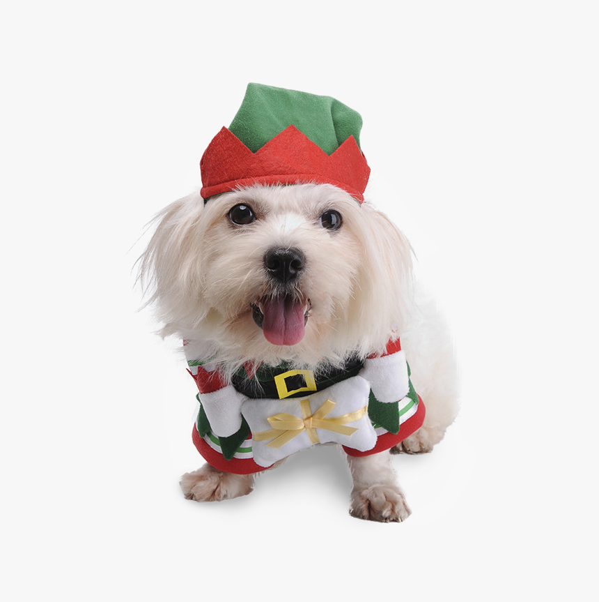 Cute Pet Dog Cat Clothes Christmas Fancy Costume Funny - Dog Christmas Costumes Transparent, HD Png Download, Free Download