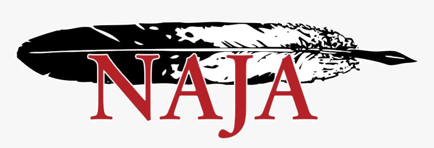 Native American Journalists Association, HD Png Download, Free Download