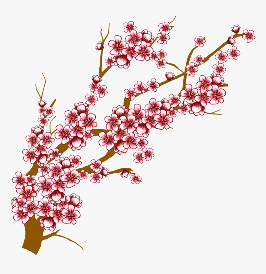 Transparent Cherry Blossoms Clipart - Draw Cherry Blossom Branch, HD Png Download, Free Download