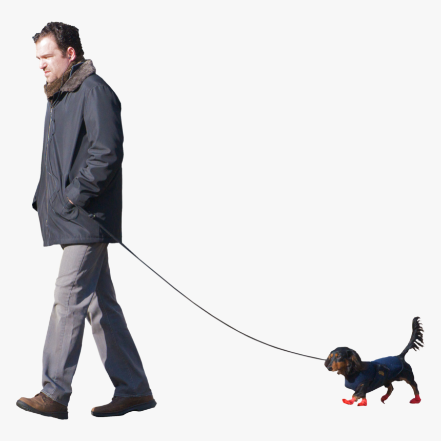 Transparent Walking Dog Png - Person Walking Dog Png, Png Download, Free Download