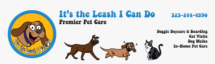 Doggie & Cat Daycare And Dog Walking In L - Dog Catches Something, HD Png Download, Free Download