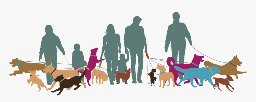 Illustration Of Dog Walkers - Dog Walk, HD Png Download, Free Download
