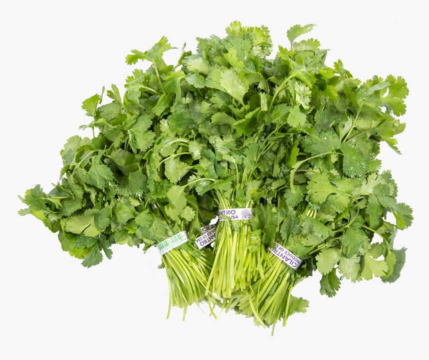 Transparent Cilantro Png - Parsley, Png Download, Free Download