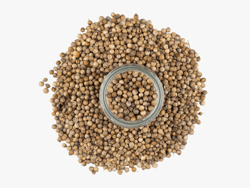 Coriander, HD Png Download, Free Download