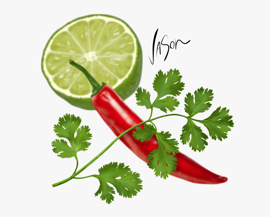 Coriander Leaves Png File, Transparent Png, Free Download