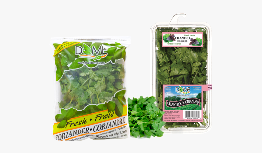 Spinach, HD Png Download, Free Download