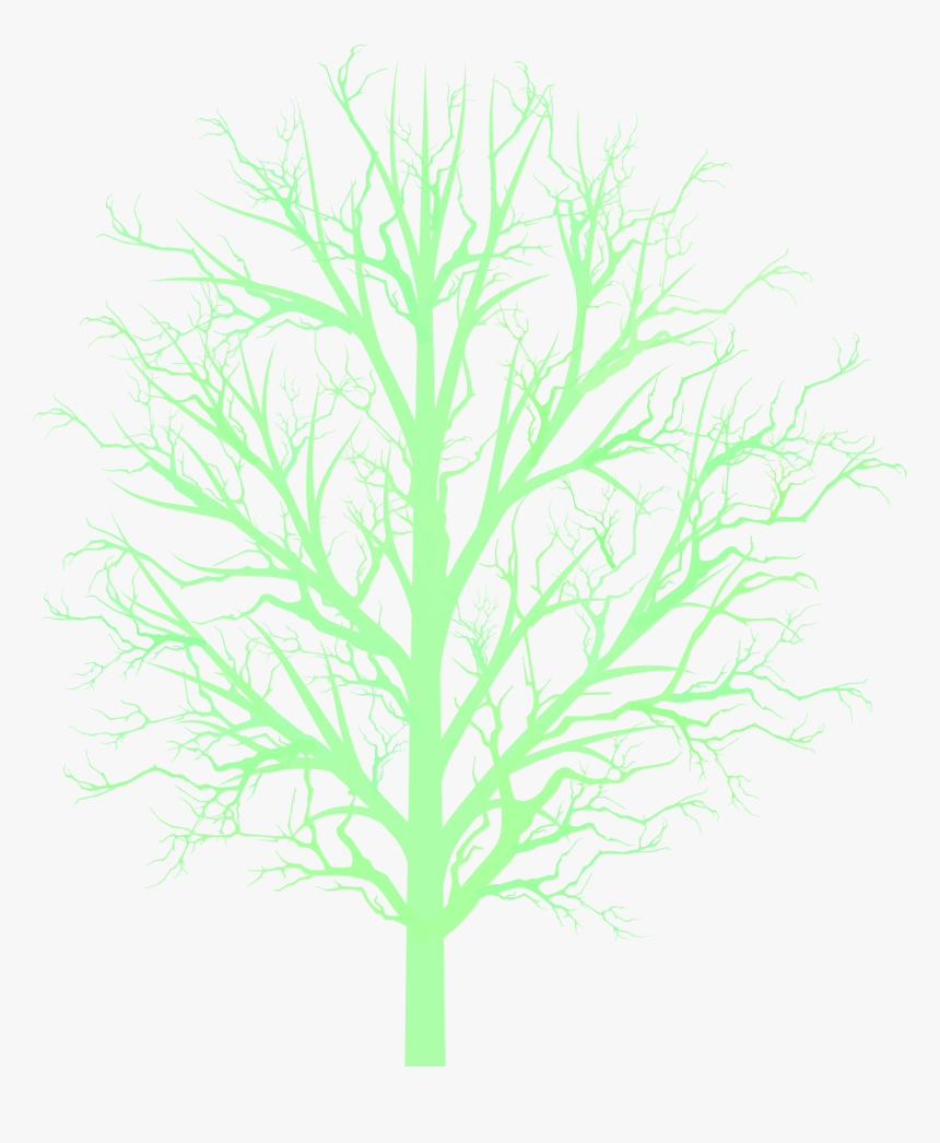 Bare Tree Png Bare Tree Branc - Darkness, Transparent Png, Free Download