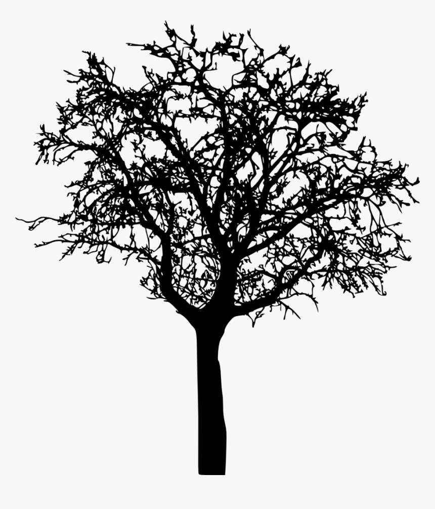 Winter Tree Silhouette Png, Transparent Png, Free Download