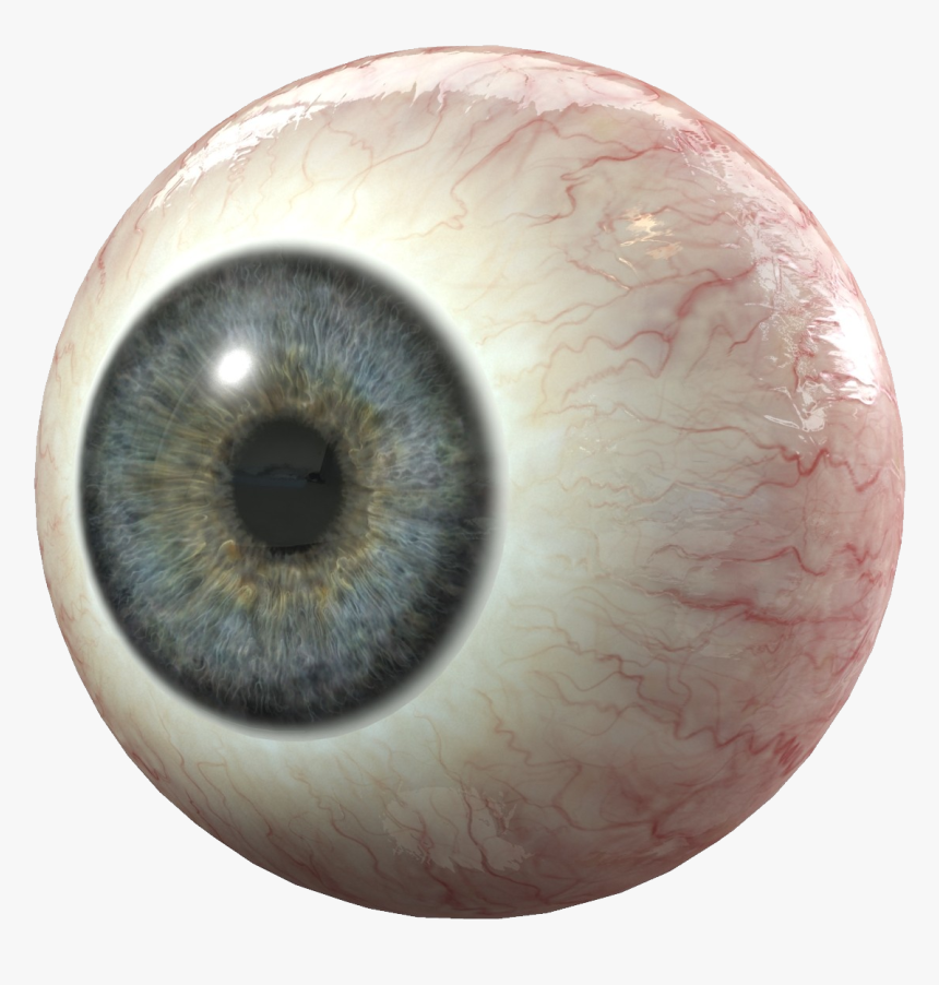 Human Eyes Png Vector Royalty Free Library - Transparent Eyeball Png, Png Download, Free Download