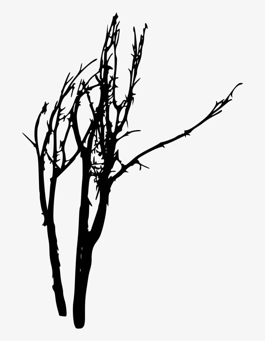 Free Png Bare Tree Silhouette Png Images Transparent - Dead Tree Silhouette Png, Png Download, Free Download