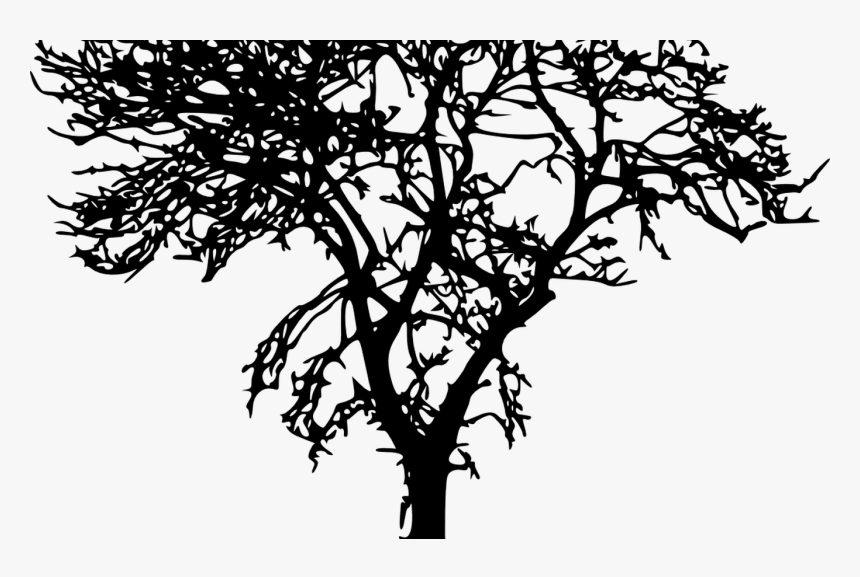 18 Bare Tree Silhouette Vol 2 Onlygfxcom - Jungle Tree Silhouette Png, Transparent Png, Free Download