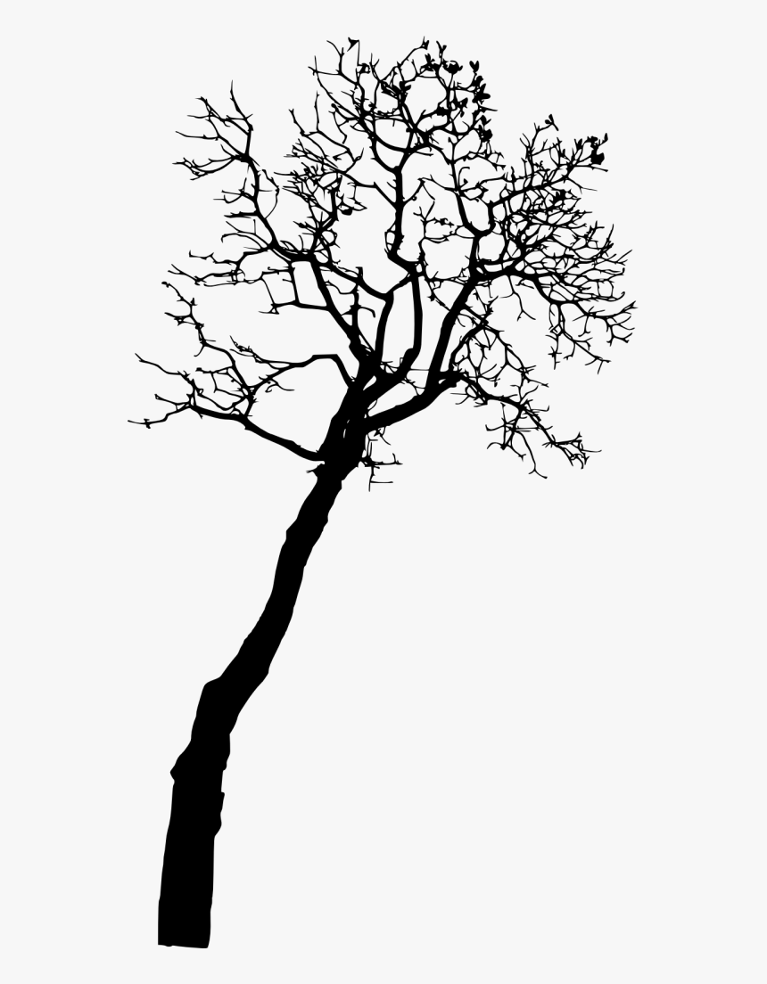 Silhouette Bare Tree Png, Transparent Png, Free Download