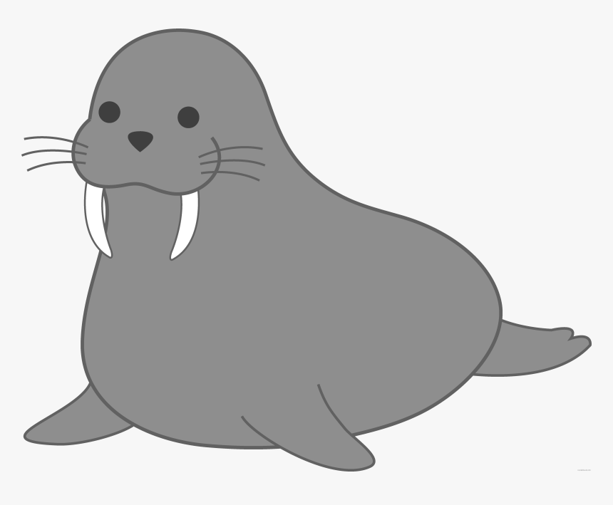 Walrus Earless Seal Clip Art Portable Network Graphics - Walrus And Seal Drawing, HD Png Download, Free Download