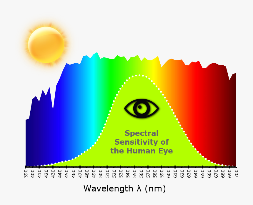 Transparent Human Eye Png - Visible Spectrum Eye Sensitivity, Png Download, Free Download