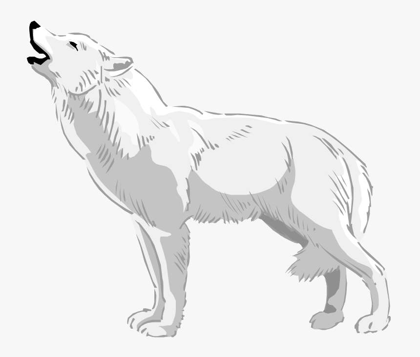 Wolves Clipart Real Wolf White Wolf Clipart- - White Wolf Howl Png, Transparent Png, Free Download