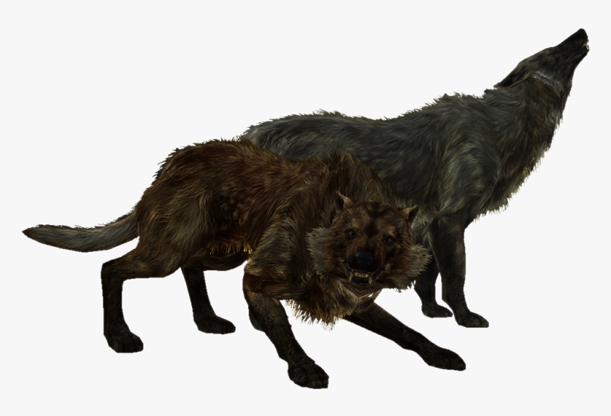 Elder Scrolls - Skyrim Wolf, HD Png Download, Free Download