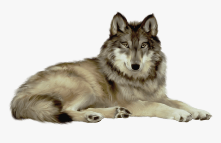 Wolves Transparent White Background - Wolf Png, Png Download, Free Download