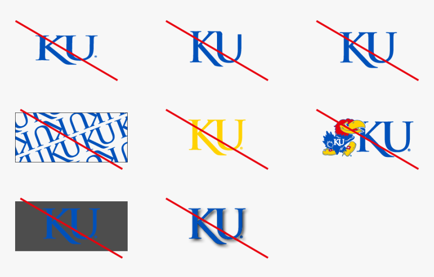 University Of Kansas, HD Png Download, Free Download