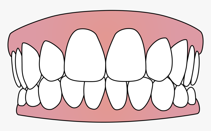 Free Vector Download Png Tooth - Teeth Svg, Transparent Png, Free Download