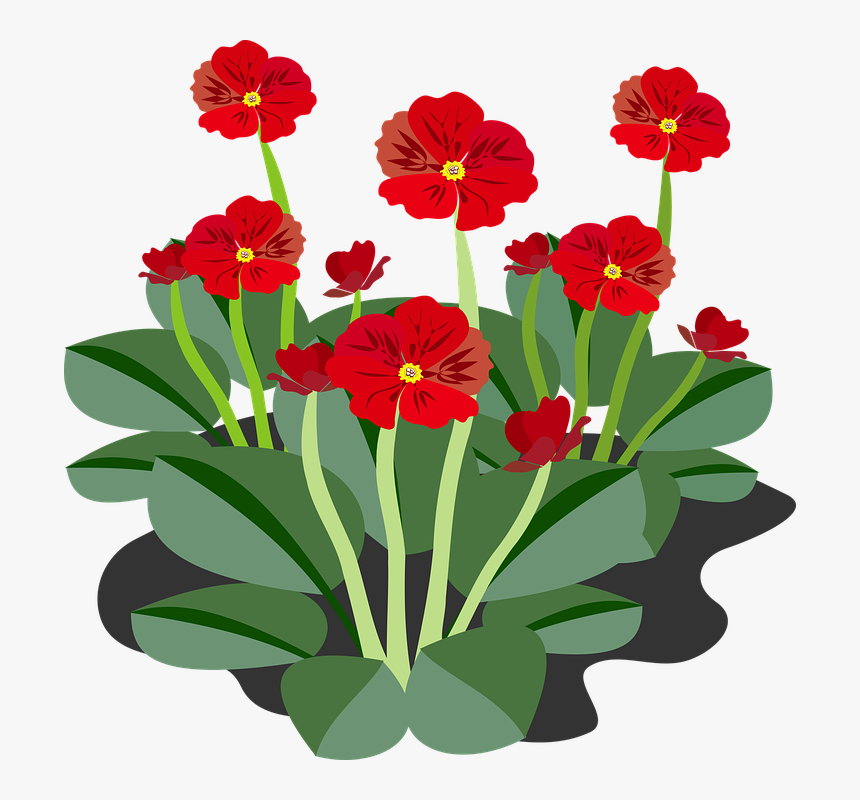 Clip Art, Flor, Flora, Flower, Nature, Plant - Plant With Flowers Clipart, HD Png Download, Free Download