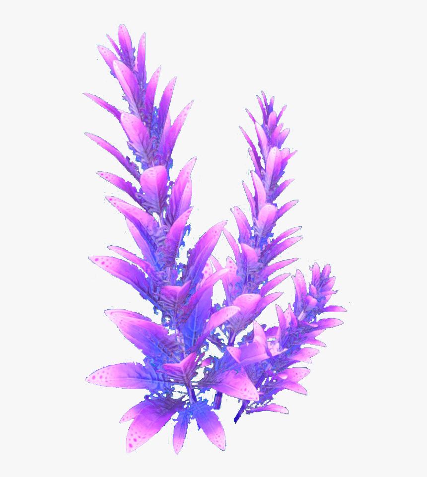 Purple Stalk Flora - Subnautica Flower, HD Png Download, Free Download