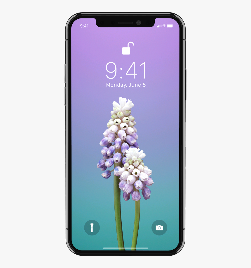 Apple Iphone X Png - Айфон 8 Официальная Презентация, Transparent Png, Free Download