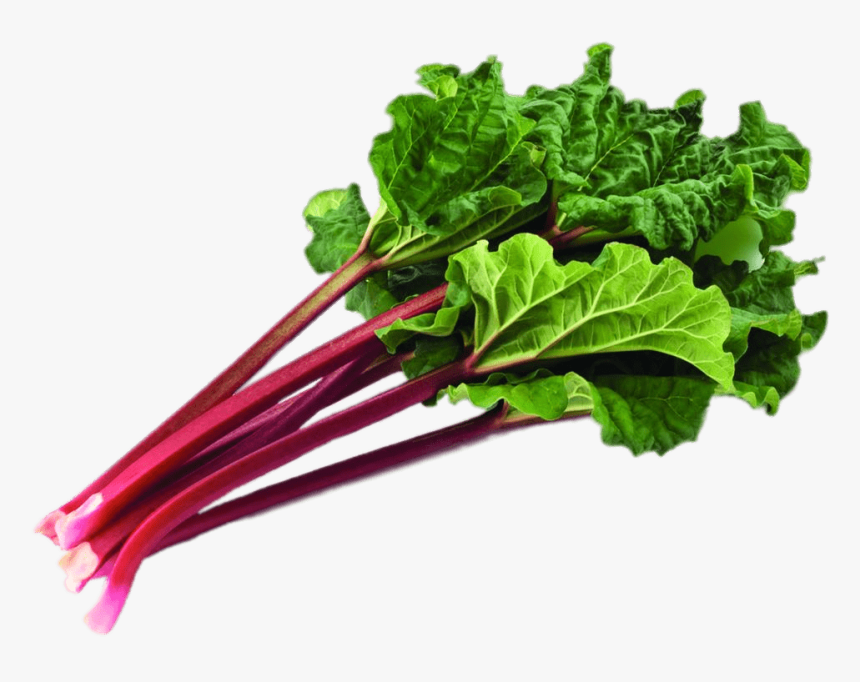 Bundle Of Rhubarb With Leaves - Rhubarb Clipart, HD Png Download, Free Download