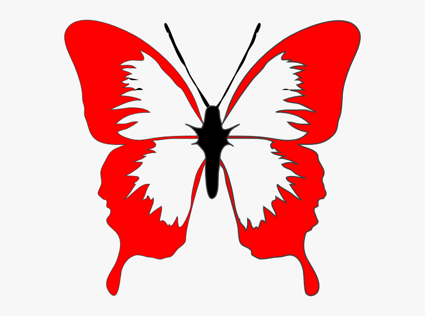 Transparent Asterisk Clipart - Butterfly Cartoon Black And White, HD Png Download, Free Download