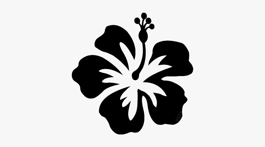 Hibiscus Flower Free Vector Png - Hibiscus Flower Free Vector, Transparent Png, Free Download