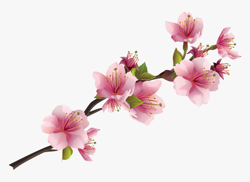 Sakura Pink Flowers Png Free Images - Transparent Pink Flower Png, Png Download, Free Download