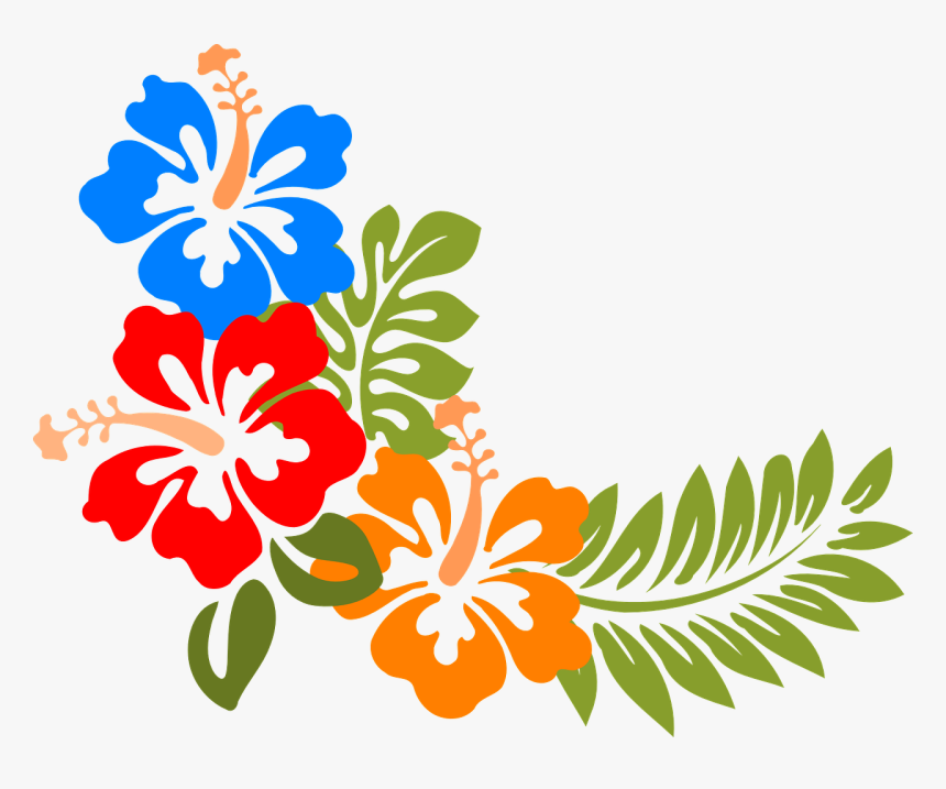 Hibiscus, Hawaii, Flowers, Tropical, Colorful, Spring - Hawaiian Flowers Vector, HD Png Download, Free Download