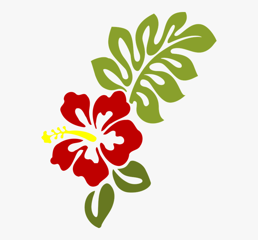 Hibiscus, Blossom, Leaf, Red, Blooming, Nature - Flower Clipart Black And White, HD Png Download, Free Download