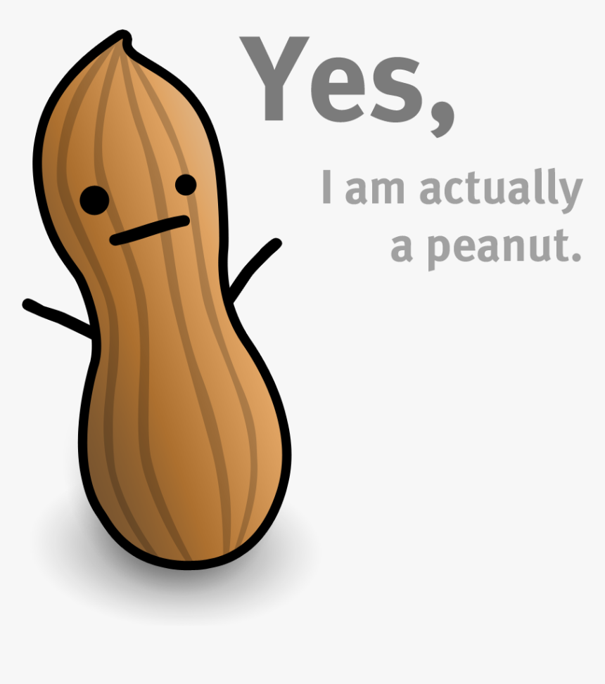 Peanut Svg Kawaii - Peanut Kawaii, HD Png Download, Free Download