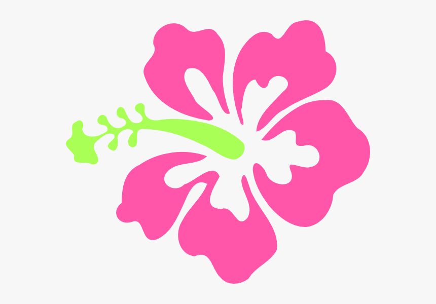 Clipart Hibiscus Flower Transparent Background, HD Png Download, Free Download