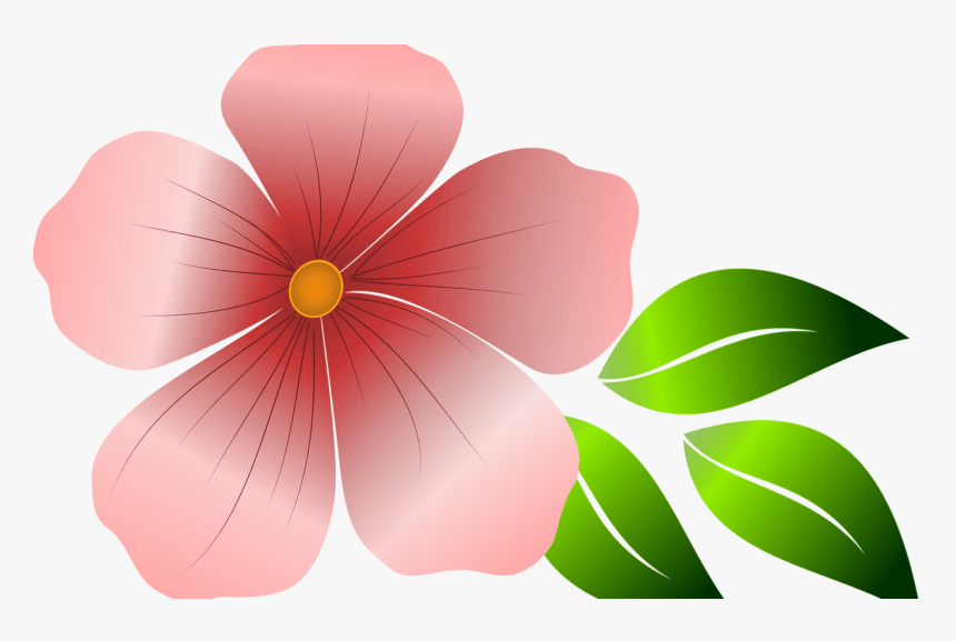 Transparent Pink Hibiscus Clipart - Graphic Flower, HD Png Download, Free Download