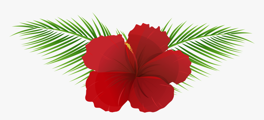 Exotic Flower Transparent Clip Art Imageu200b Gallery - Transparent Background Hawaiian Flower Png, Png Download, Free Download