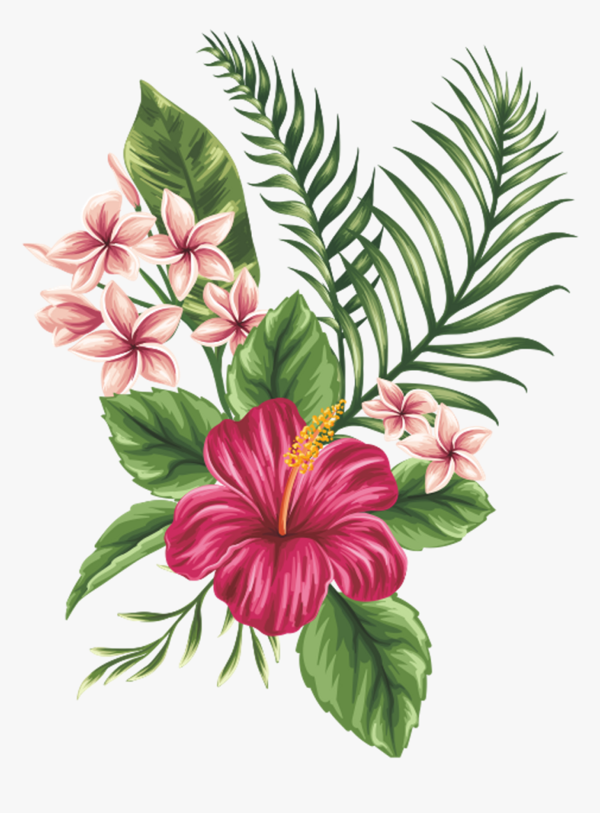 Tropical Flower Vector Png Clipart , Png Download - Tropical Flowers Drawing, Transparent Png, Free Download